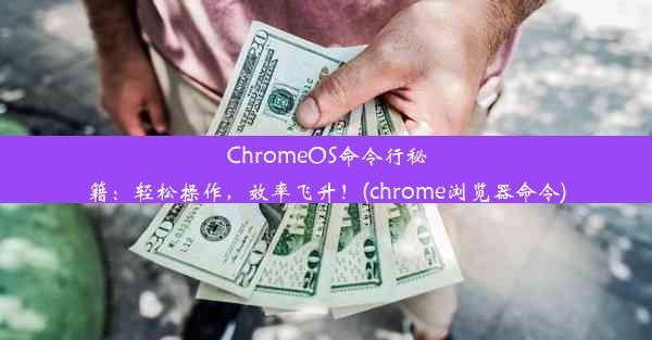 ChromeOS命令行秘籍：轻松操作，效率飞升！(chrome浏览器命令)