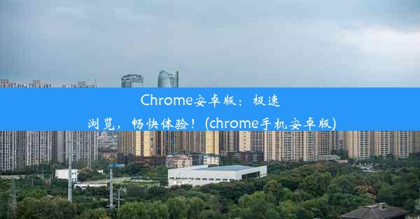 Chrome安卓版：极速浏览，畅快体验！(chrome手机安卓版)