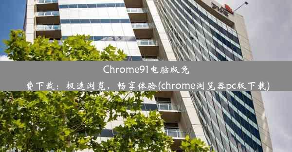 Chrome91电脑版免费下载：极速浏览，畅享体验(chrome浏览器pc版下载)