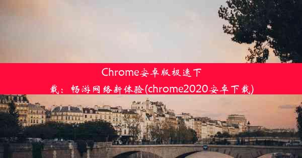 Chrome安卓版极速下载：畅游网络新体验(chrome2020安卓下载)