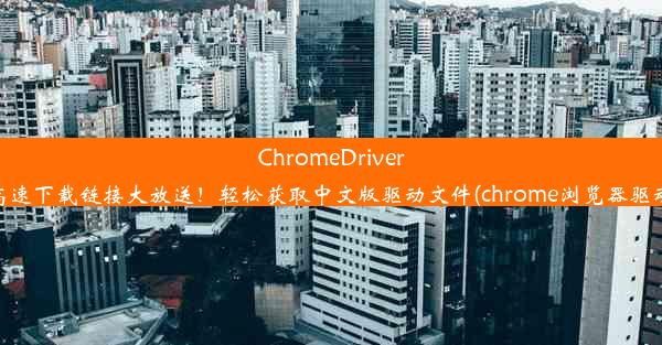 ChromeDriver高速下载链接大放送！轻松获取中文版驱动文件(chrome浏览器驱动)