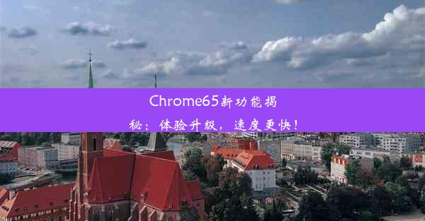 Chrome65新功能揭秘：体验升级，速度更快！