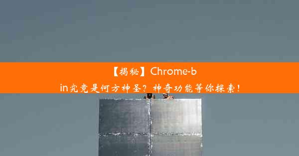 【揭秘】Chrome-bin究竟是何方神圣？神奇功能等你探索！