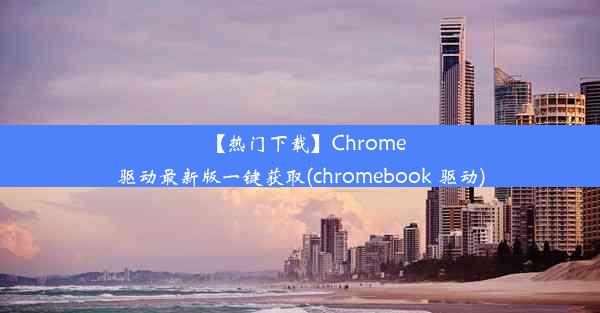 【热门下载】Chrome驱动最新版一键获取(chromebook 驱动)