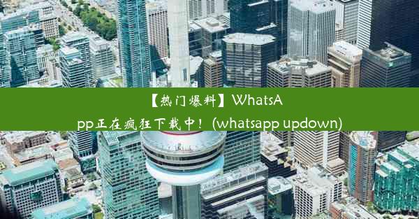 【热门爆料】WhatsApp正在疯狂下载中！(whatsapp updown)