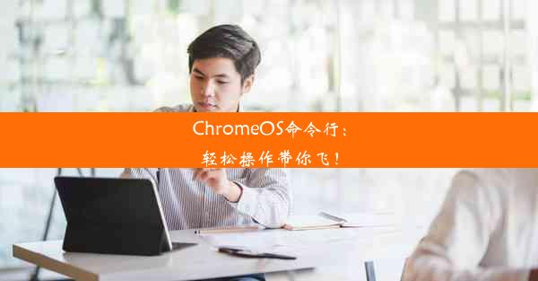 ChromeOS命令行：轻松操作带你飞！